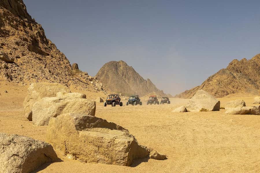 Sharm El Sheikh: Quad Biking & Desert Safari with Pickup - Key points before you book
