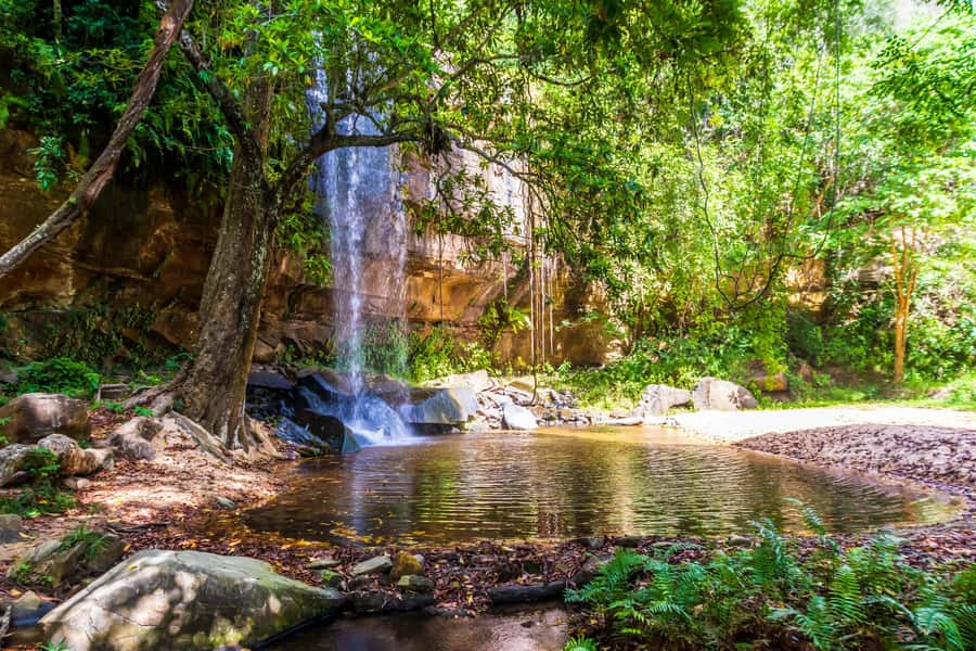 Shimba Hills Day Safari & Sheldrick Falls Hike Private Tour - Key points before you book