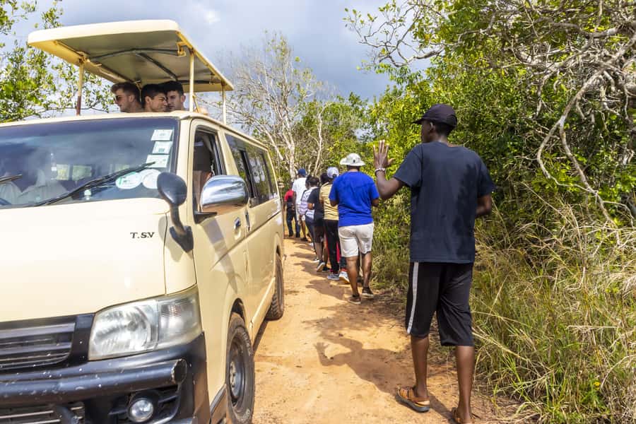 Shimba Hills Day Safari & Sheldrick Falls Hike Private Tour - Sheldrick Falls and the question of swimming