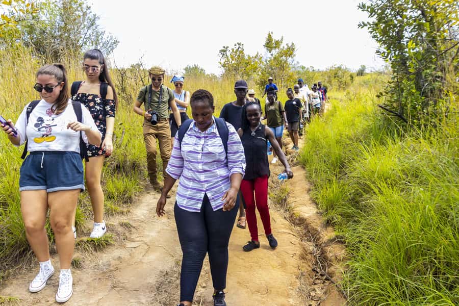 Shimba Hills Day Safari & Sheldrick Falls Hike Private Tour - The early pickup and drive from the coast