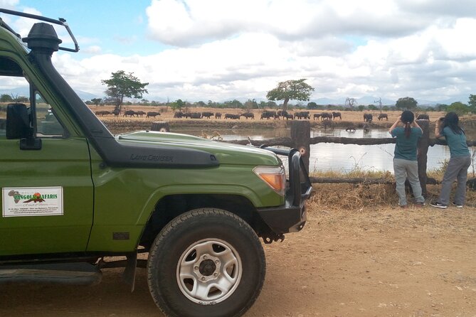 Short Safari from Dar es Salaam to Mikumi National Park - 2 Days - Who should book this safari?