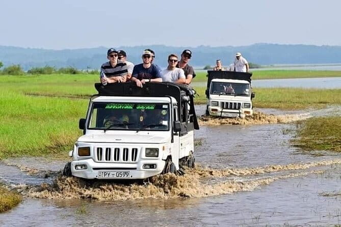 Sigiriya Hike & Minneriya Safari Private Full Day Tour - Four hours in Minneriya or Kaudulla National Park
