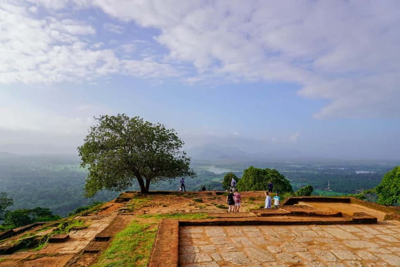Sigiriya Lion Rock Hike & Minneriya National Park Safari - What the driver and guide add