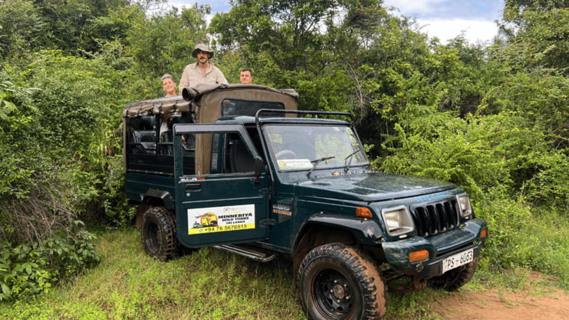 Sigiriya Rock Hike & Minneriya Elephant Safari – Day Tour - Should you book it?