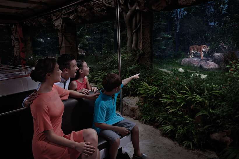 Singapore: Night Safari Entry Ticket with Tram Ride - Why the Night Safari feels different from a daytime zoo