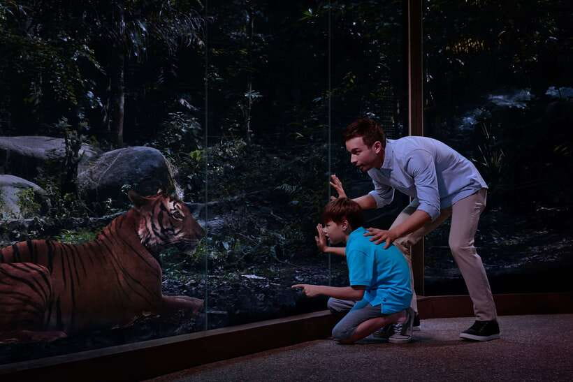 Singapore: Night Safari Entry Ticket with Tram Ride - Transport, food, weather, and small practical details