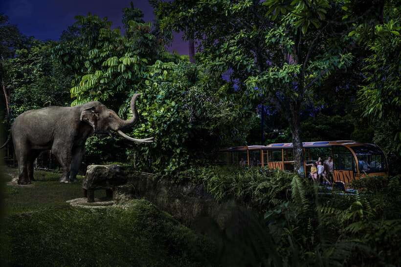 Singapore: Night Safari Entry Ticket with Tram Ride - Start with the right entry time