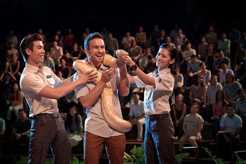 Singapore: Night Safari Singapore Entry Ticket + Tram Ride - The best order for a one-evening visit