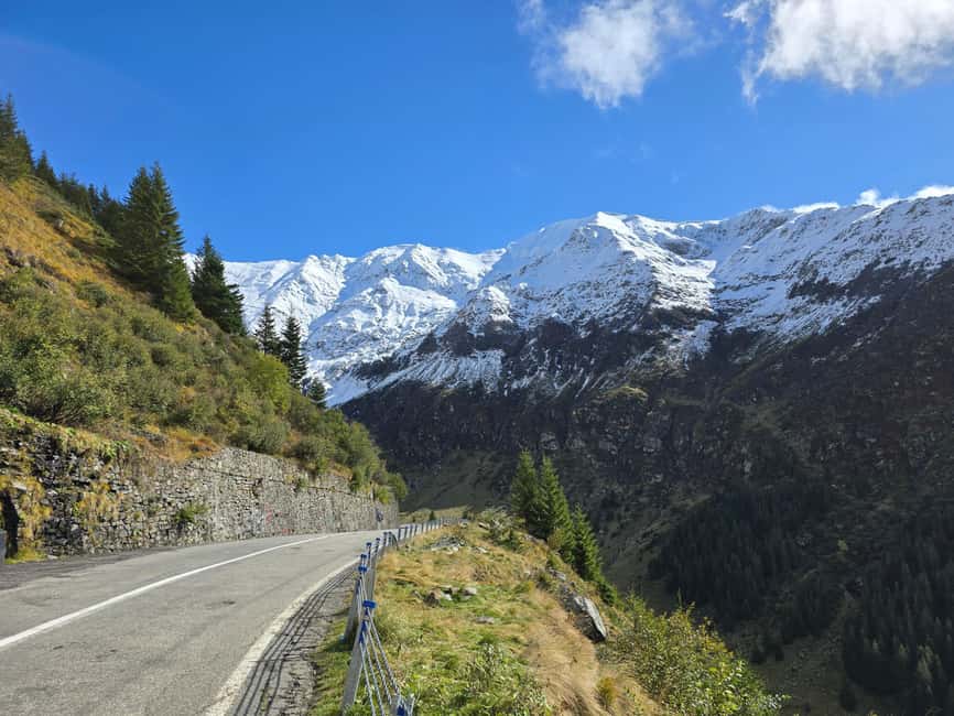 Small group Bears 'Safari' on Transfăgărășan -max 7 tourists - Guides, comfort, and the overall pace