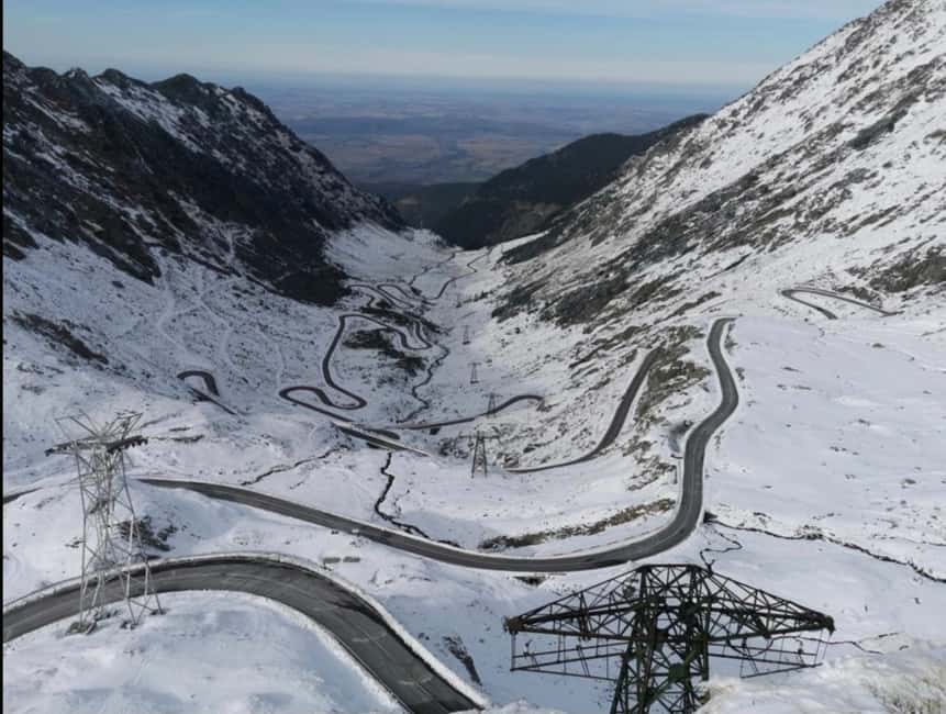 Small group Bears 'Safari' on Transfăgărășan -max 7 tourists - Why the small-group format matters