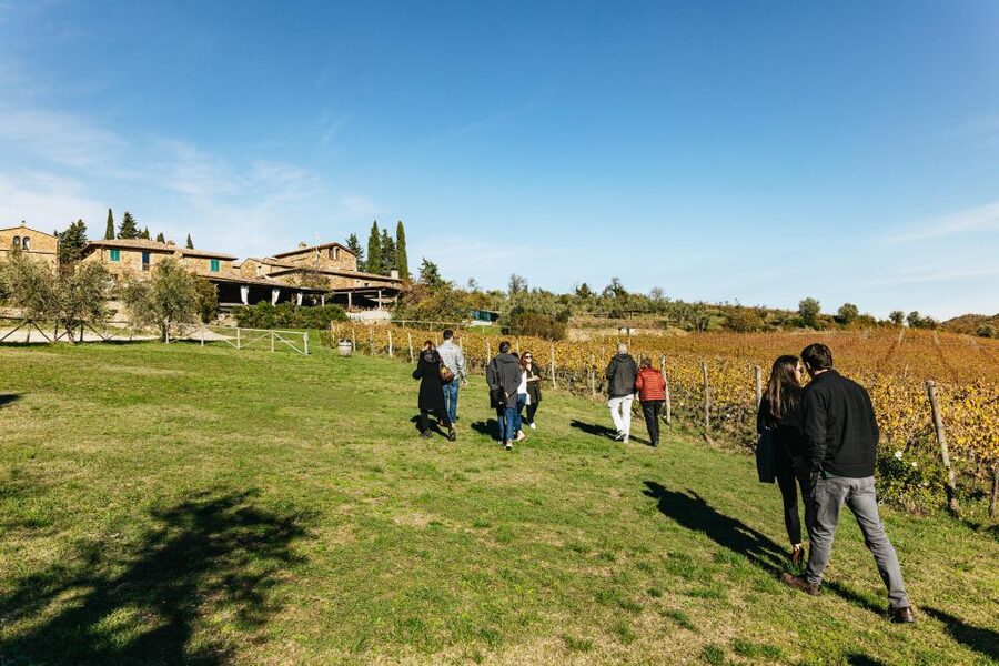 SMALL GROUP Tuscany Wine Tasting Safaris with Lunch / Dinner - Practical tips for a smoother day