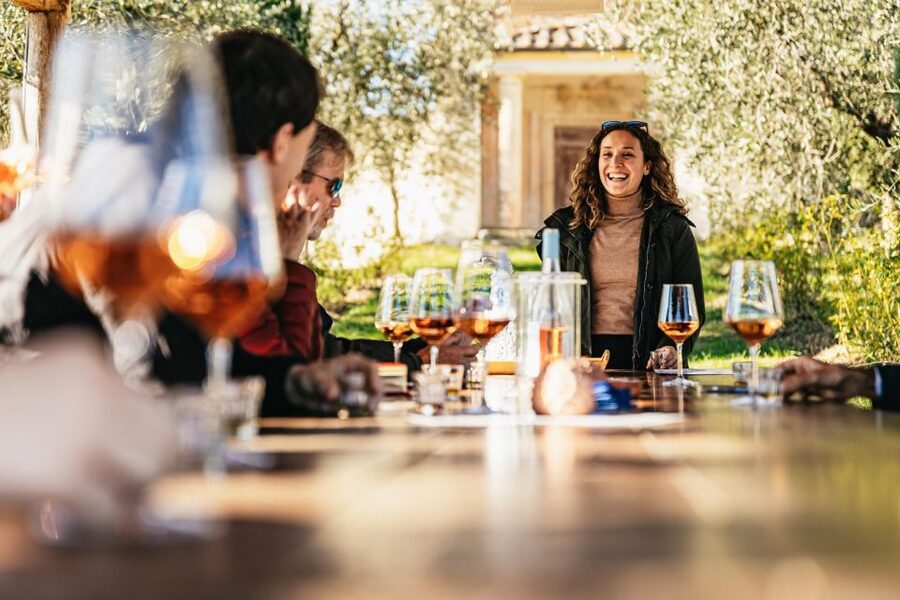 SMALL GROUP Tuscany Wine Tasting Safaris with Lunch / Dinner - Winery visits, cellars, and Chianti Classico