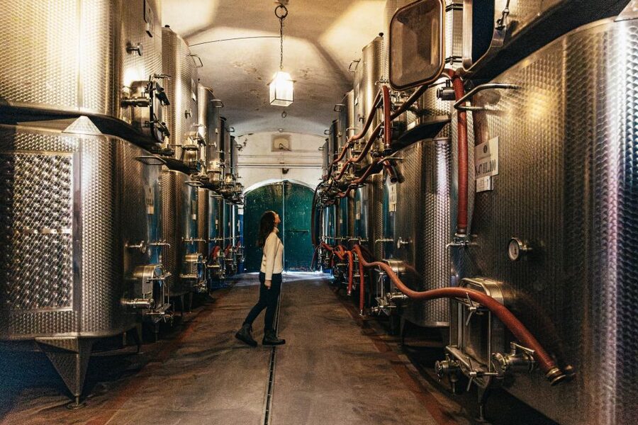SMALL GROUP Tuscany Wine Tasting Safaris with Lunch / Dinner - Is $153 good value?
