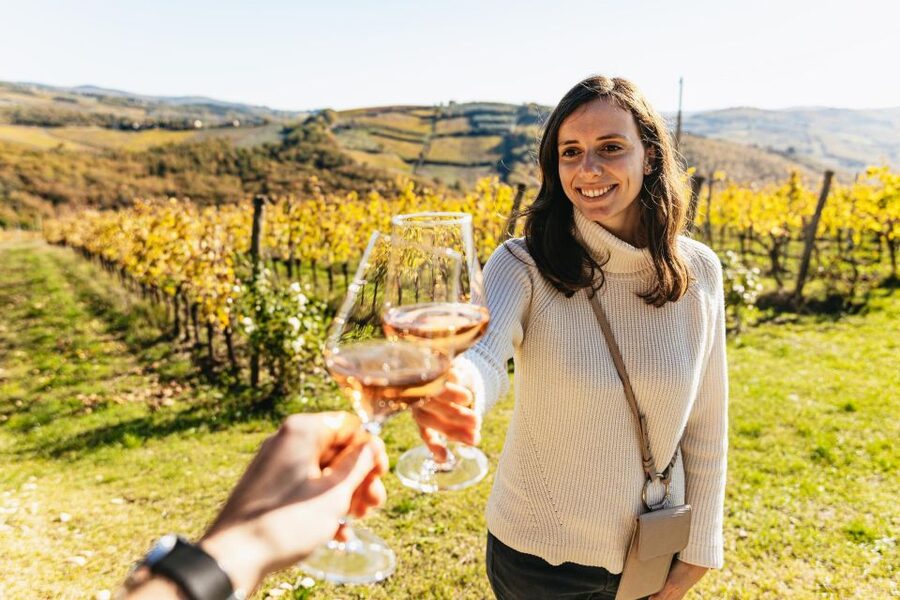 SMALL GROUP Tuscany Wine Tasting Safaris with Lunch / Dinner - Who should book this Chianti safari?