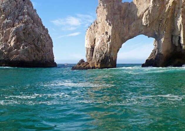 Snorkeling Open Ocean Wildlife Safari in Los Cabos with Photos Included - Key points to know before booking