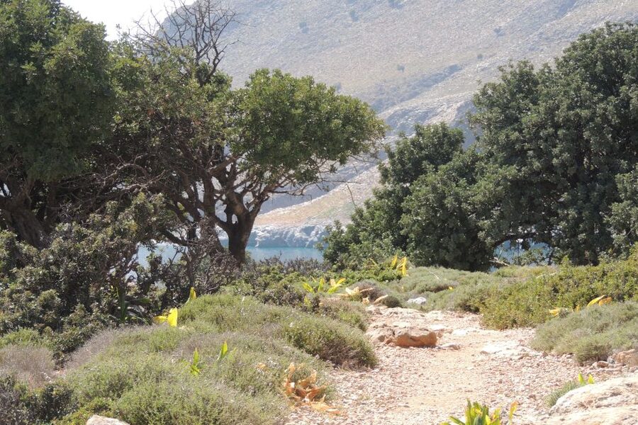 South Crete: Sarakinas Gorge Hike, Swim & Jeep Safari - Why this East Crete route works