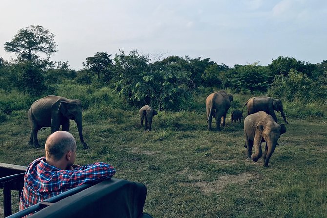 Sri Lanka Wild Life Uniqe Safari 26 - Quick points to know