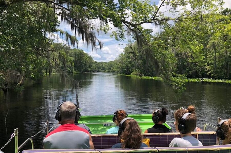 St. Augustine: St. Johns River Airboat Safari with a Guide - Finding Alligators, Turtles, Birds, and More