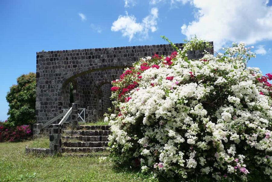 St. Kitts: Top Sights Guided Van or Open-Air Safari Tour - Wingfield Plantation adds a local taste