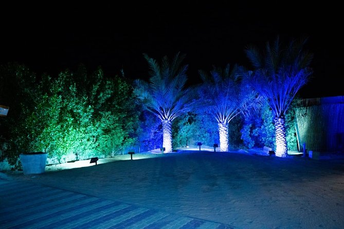 Standard Desert Safari, camel ride, BBQ Dinner, Belly Dance Show, Pick & Drop - 4x4 dune bashing and sunset views