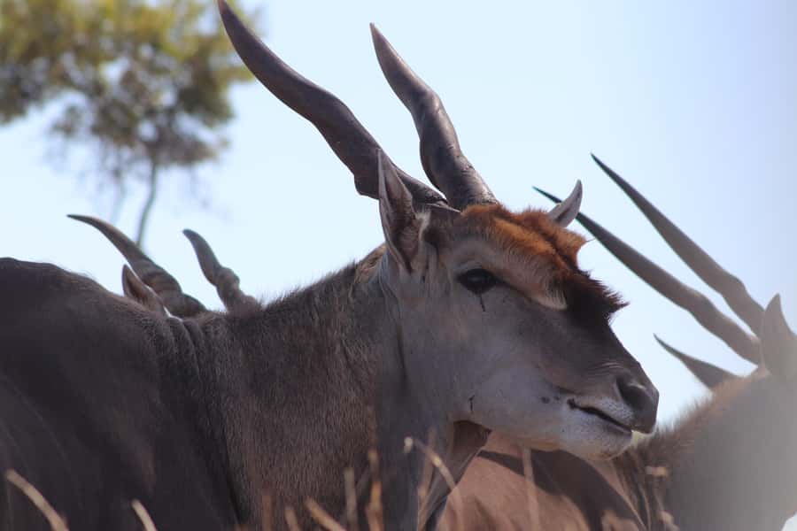 Stellenbosch: Horse Riding Wildlife Safari - Preparing for Weather and Comfort