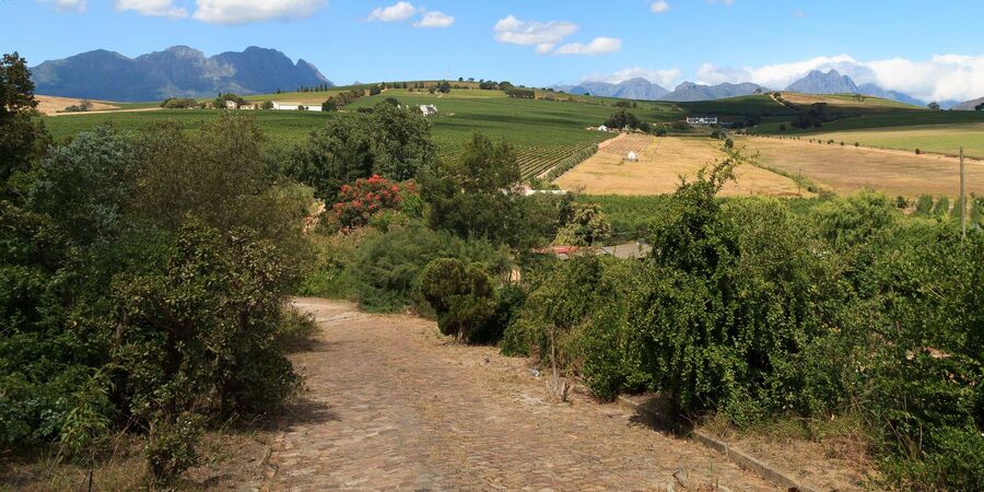 Stellenbosch North Guided Wine Safari (Tastings Excluded) - Glenelly and the final views