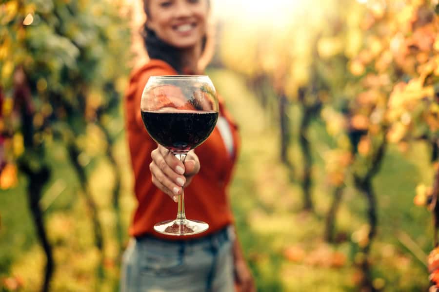 Stellenbosch North Guided Wine Safari (Tastings Included) - The open vehicle ride through Stellenbosch