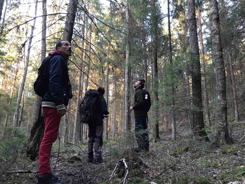 Stockholm: Wildlife Safari - Should you book it?
