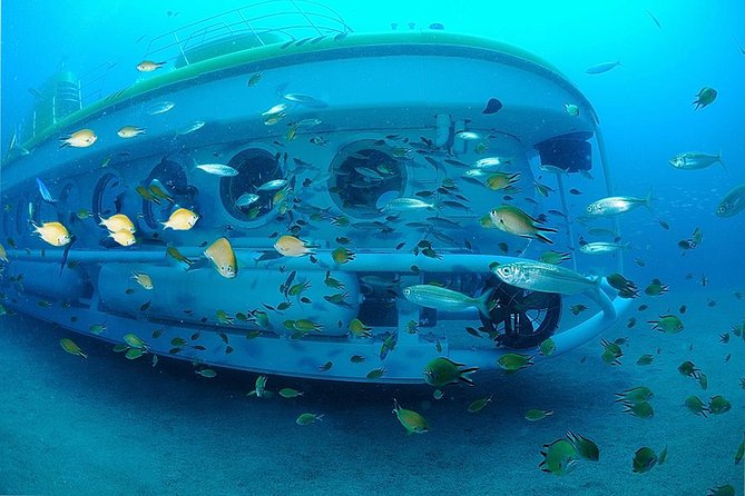 Submarine Safaris Lanzarote - Fish, rays, and shipwrecks