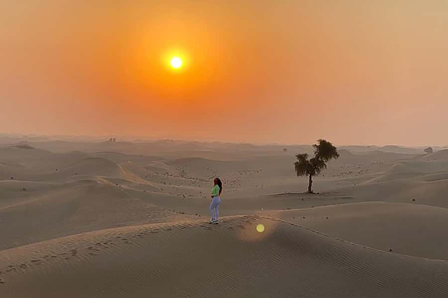 Sunrise Desert Safari - Abu Dhabi - The essential details at a glance
