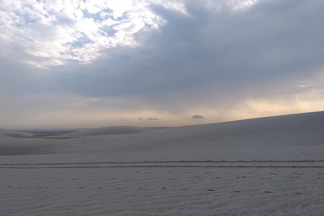 Sunrise Desert Safari in Qatar: An Unforgettable Adventure - Camel riding and the human touch