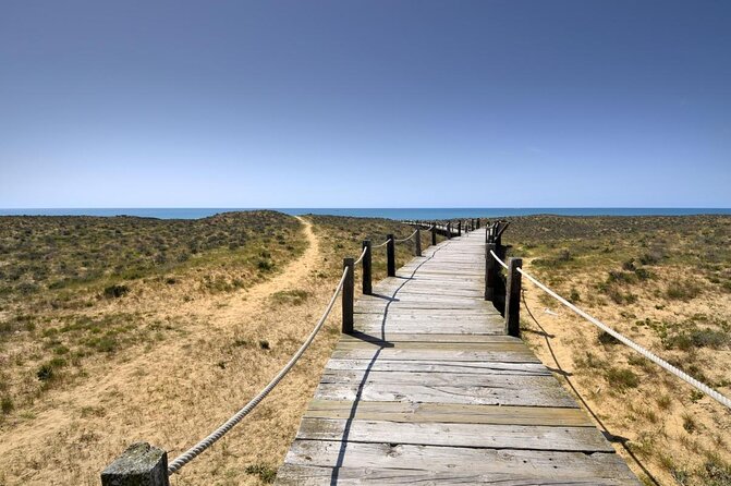Sunset Beach Safari w/ Champagne & Chicken Piri Piri Dinner - Key points to know before booking