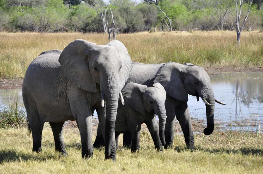 sunset safari big 5 Game reserve Group Tour - Arriving at Aquila Private Nature Reserve