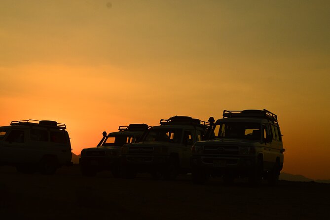 Sunset Safari trip by Jeep - Meeting a Bedouin family near El Gouna