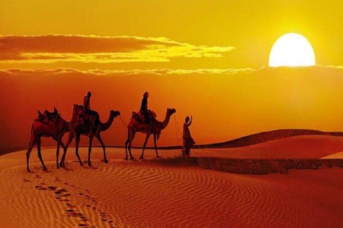 Sunset Safari With Dinner - Is $35 good value?