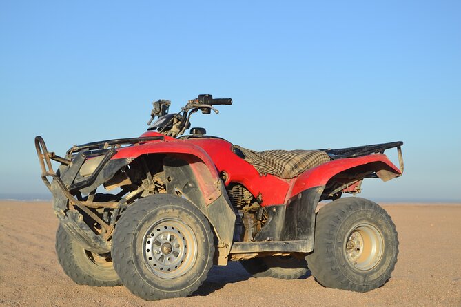 Super Safari ATV, Drive Buggy Car, Camel Ride, Bedouin Dinner, Show-Hurghada - Why this Hurghada safari is popular