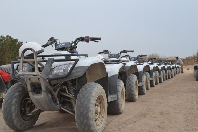 Super Safari ATV, Drive Buggy Car, Camel Ride, Bedouin Dinner, Show-Hurghada - Camel riding: memorable, but very short