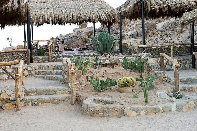 Super Safari, ATV & Sunset, Camel Ride With Dinner - Marsa Alam - Music, Tanoura, belly dancing, and the Fakir show
