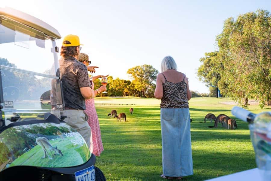 Swan Valley: Golf Cart Kangaroo Safari w/ Mini Golf & Drink - Riding the fairways in search of kangaroos