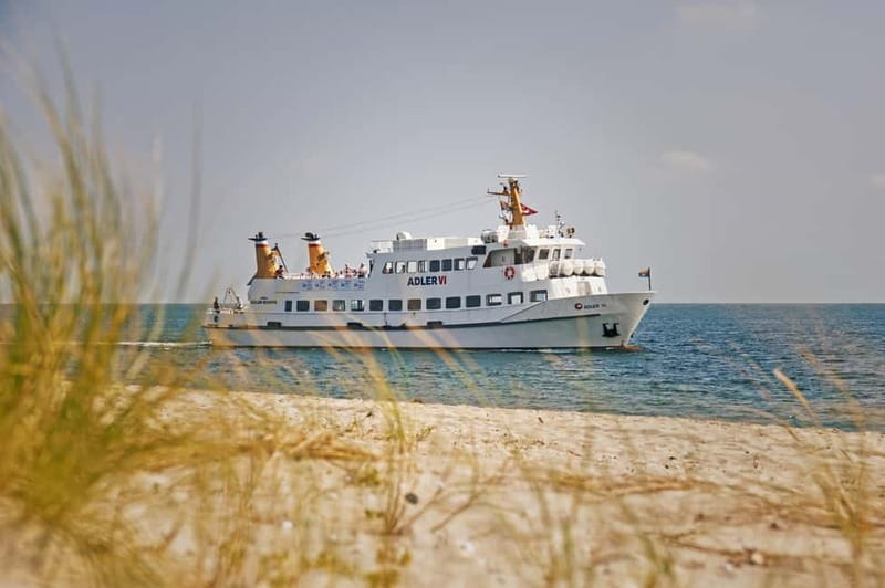 Sylt: Shell safari with boat | incl. Mussel tasting & 1 glass of wine - Key points to know before you book