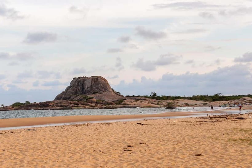 Tangalle/Hiriketiya/Mirissa: Shuttle to Ella and Yala Safari - The leopard question