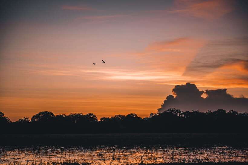 Tangalle/Hiriketiya: Yala National Park Safari in a 4x4 - What the Jeep ride inside Yala feels like