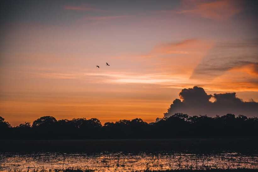 Tangalle/Hiriketiya: Yala National Park Safari in a 4x4 - Cancellation and booking flexibility