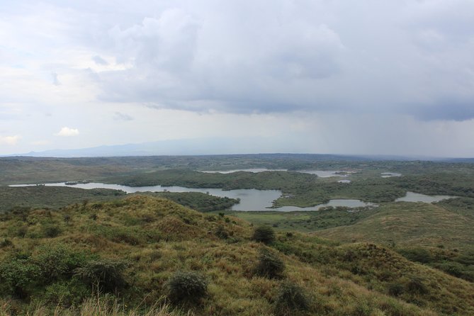 Tanzania - Arusha NP - Private Guided 4x4 Safari - Game Drive & Walking - What the private 4x4 game drive feels like