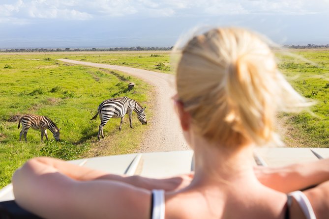 Tanzania Simba Safari - 5 Days - The private vehicle and guide make the difference