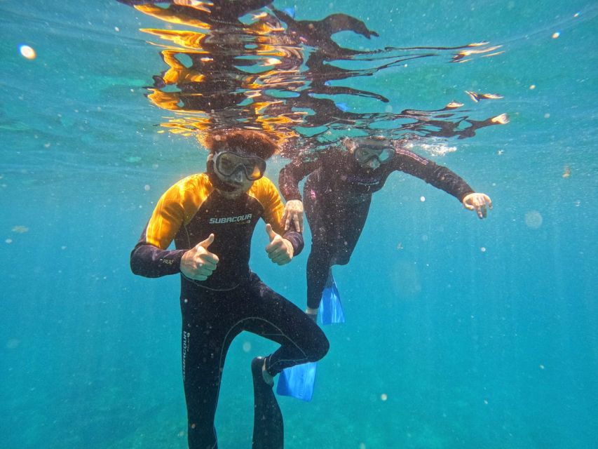 Tenerife: Puerto Colon Snorkel Safari by Speed Boat - Quick points before you book