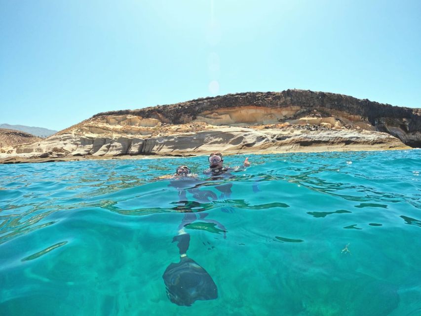 Tenerife: Puerto Colon Snorkel Safari by Speed Boat - What this Puerto Colón outing is really like