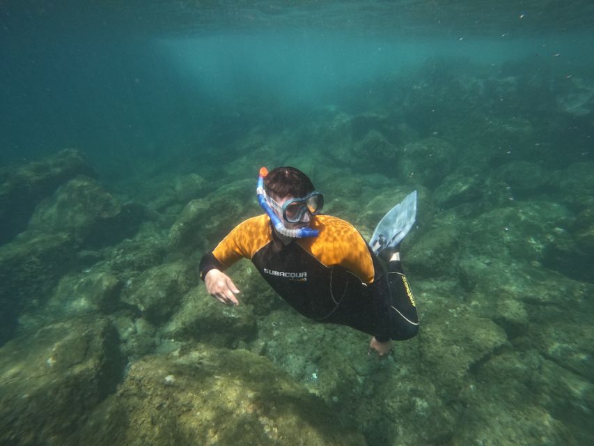 Tenerife: Puerto Colon Snorkel Safari by Speed Boat - The 30-minute preparation and safety briefing