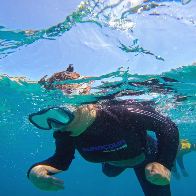Tenerife: Puerto Colon Snorkel Safari by Speed Boat - Why the small group makes a difference