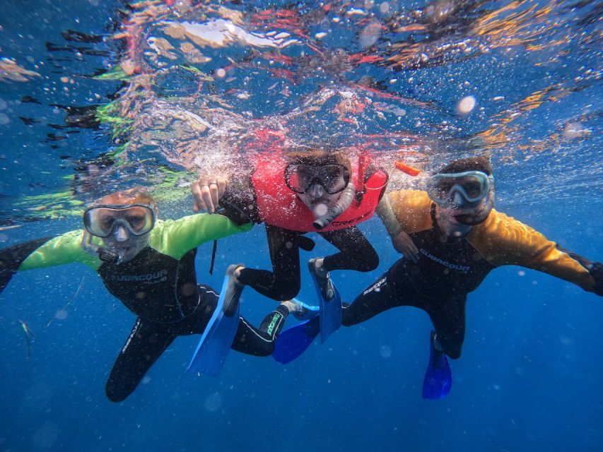 Tenerife: Puerto Colon Snorkel Safari by Speed Boat - Is $53 a fair price?